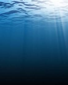 Deep Blue Sea