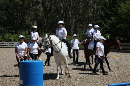 Open Day at the Wellington branch of Riding for the Disabled