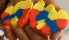 Cellular organisation