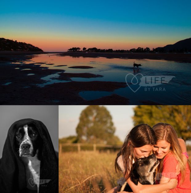 Photos by Tara Sutherland