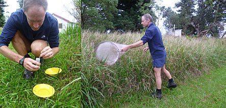 Warren Chinn and various insect collecting methods
